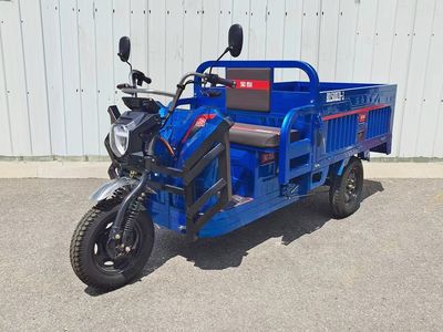 Baodao  BD1500DZH3 Electric tricycle