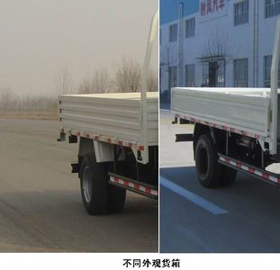 Shifeng  SSF3041DDP54 Dump truck