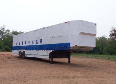 Tianye STY9201TCLVehicle transport semi-trailer