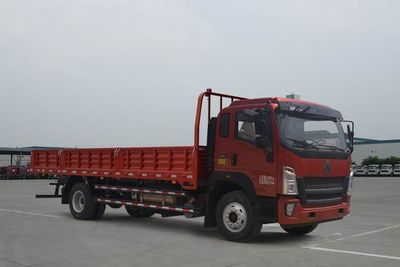 Haowo  ZZ1187G521DE1L Truck