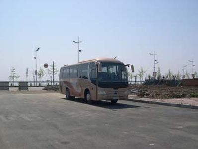 Huanghai  DD6890K01 coach