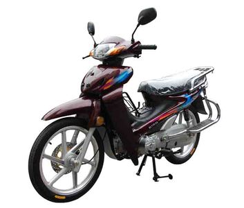 Songling  SL1102A Two wheeled motorcycles