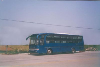 Feiyan  SDL6120WBFC Luxury sleeper coach