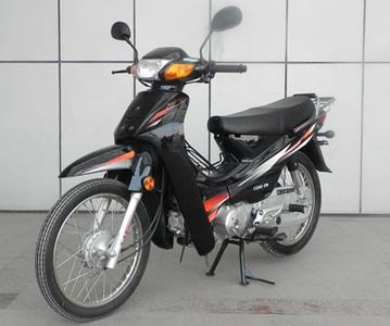 Chongqing brand automobiles CQ11028 Two wheeled motorcycles