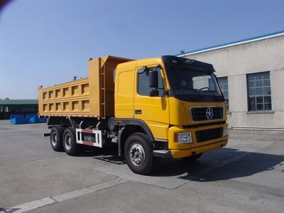 Dayun  DYX3251PA38WPD3A Dump truck