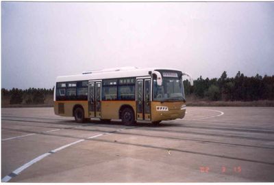 Friendship  ZGT6891DH1 City buses