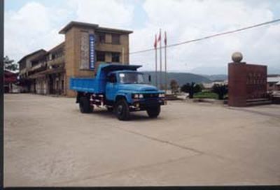 Longying  FLG3100D15E Dump truck