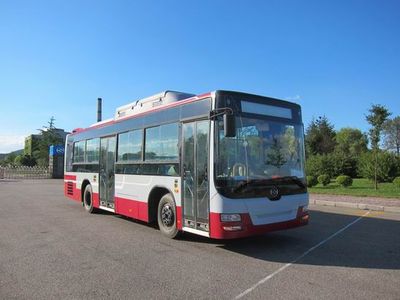 Huanghai  DD6109CHEV1 Hybrid urban buses