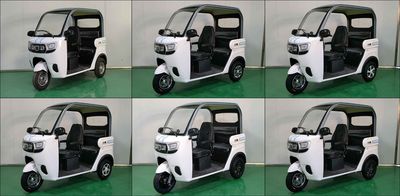 Little Bird XN1500DZKA1 Electric tricycle