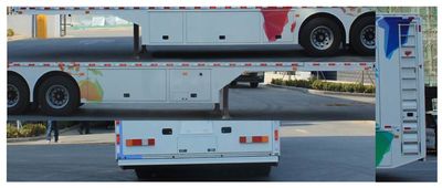 Blue Speed BYN9290XDS TV semi-trailer