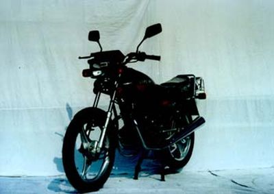 ZIPSTARLZX12534Two wheeled motorcycles