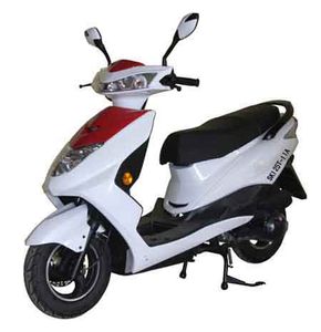 Shenke Automobile SK125T11A Two wheeled motorcycles