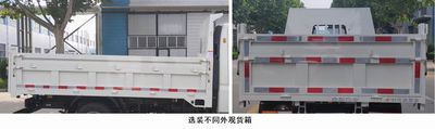 Shifeng  SSF3042DDJ441 Dump truck