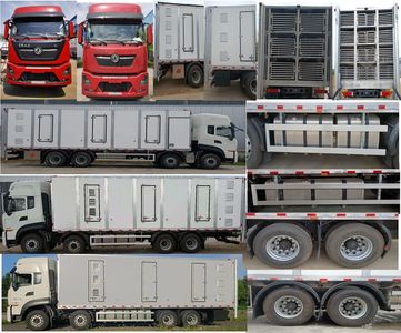 Sinak CEF5311XCQ15D Poultry transport vehicle