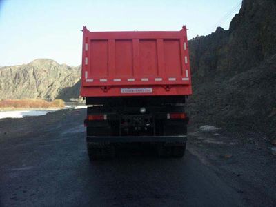 Dongfeng  DFL3251AXB Dump truck