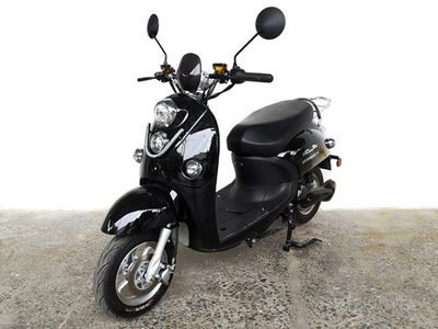 Shuangshi  SS1000DQT4 Electric two wheeled light motorcycle