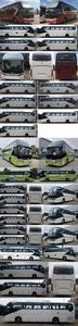 Jinlong  XMQ6127DYD6B coach