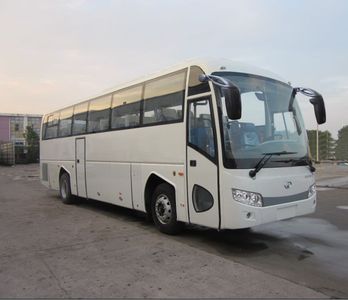 Dongyu  NJL6118YNA coach