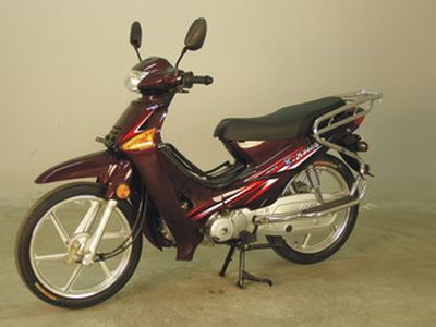 Changguang  CK110E Two wheeled motorcycles