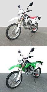 Zonghong  ZH250GY3 Two wheeled motorcycles