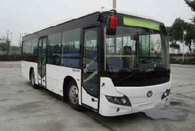 Foton  BJ6901C6MFB City buses