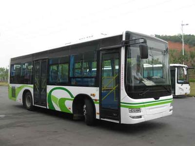 CSR Times TEG6932NG City buses