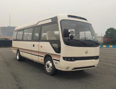 Wanxiang  WXB6720BEV Pure electric passenger cars