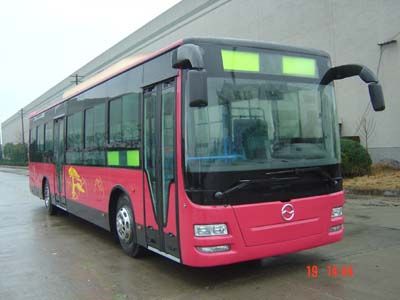 Yangzi  YZK6110NJYC3 City buses