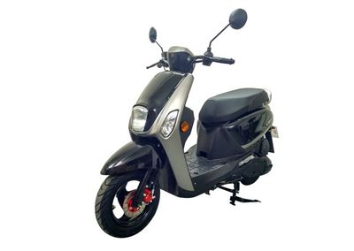 Feiying  FY110TC Two wheeled motorcycles