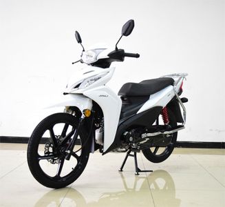 Jinli  JL12529E Two wheeled motorcycles