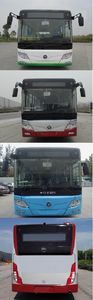 Foton  BJ6123PHEVCA16 Plug in hybrid urban buses