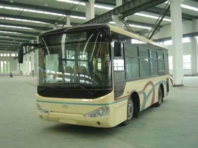 Zhejiang Automobile NPS6840GC1 City buses