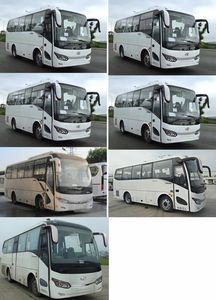 Jinlong  XMQ6759AYD5D coach