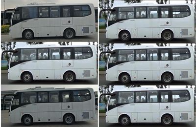 Jinlong  XMQ6759AYD5D coach