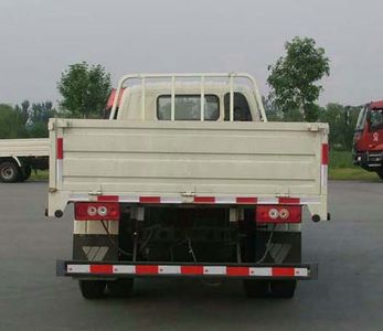 Foton  BJ1059VBPEAKD Truck