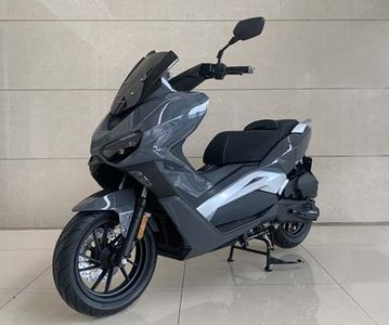 Longjia  LJ175T Two wheeled motorcycles