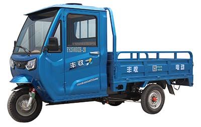 Fengshou  FS2500DZH2B Electric tricycle