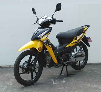 Wuyang  WY1103 Two wheeled motorcycles