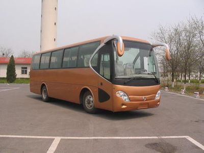 Yaxing  JS6971H coach