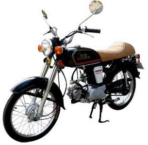 Luojia LJ70ETwo wheeled motorcycles