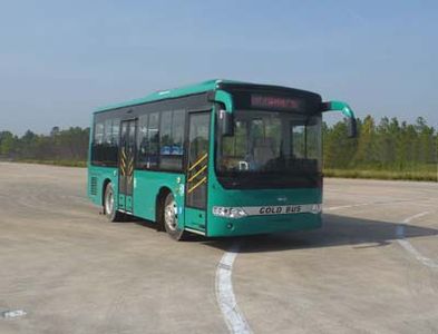 Heke  HK6770HGQ5 City buses