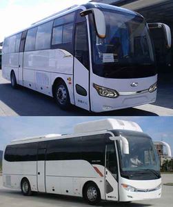 Jinlong  XMQ6101AYN5C coach