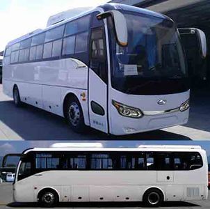 Jinlong  XMQ6101AYN5C coach