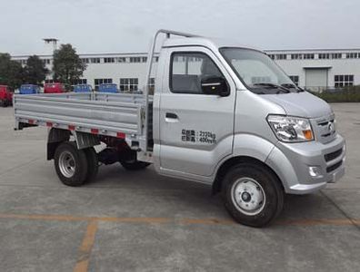 Ace car CDW1030N4M5 Truck