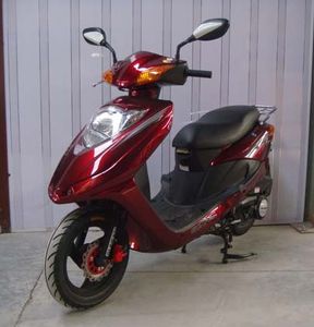 Shengfeng SF125TTwo wheeled motorcycles