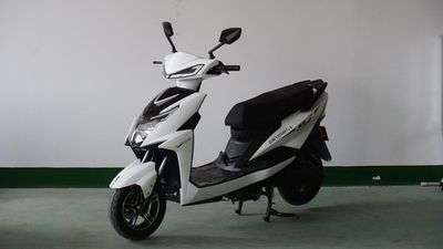 Guowei  GW1200DT3 Electric two wheeled motorcycle