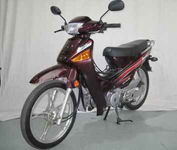 Wanqiang  WQ11020 Two wheeled motorcycles