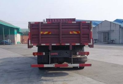 Dayun  CGC1311PA43WPD3C Truck