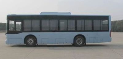 Yangtze River brand automobiles WG6101NQM4 City buses