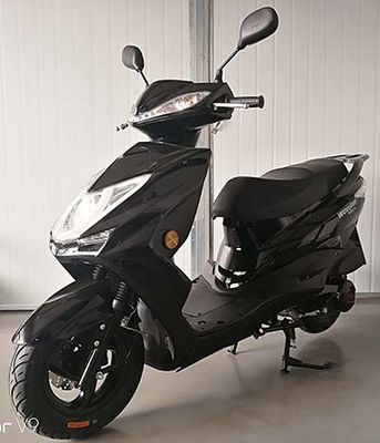 Wangjiang  WJ125T15 Two wheeled motorcycles